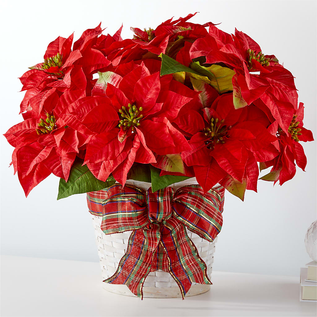 Happiest Holidays Poinsettia – City Line Florist, New Hyde Park NY
