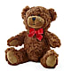 Adorable Plush Bear – City Line Florist, New Hyde Park NY