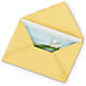 Greeting Card – City Line Florist, New Hyde Park NY