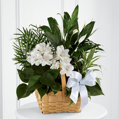 Peace & Serenity Dishgarden –  City Line Florist, New Hyde Park NY