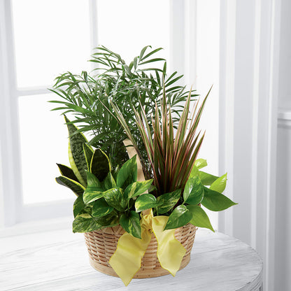 French Garden –  City Line Florist, New Hyde Park NY