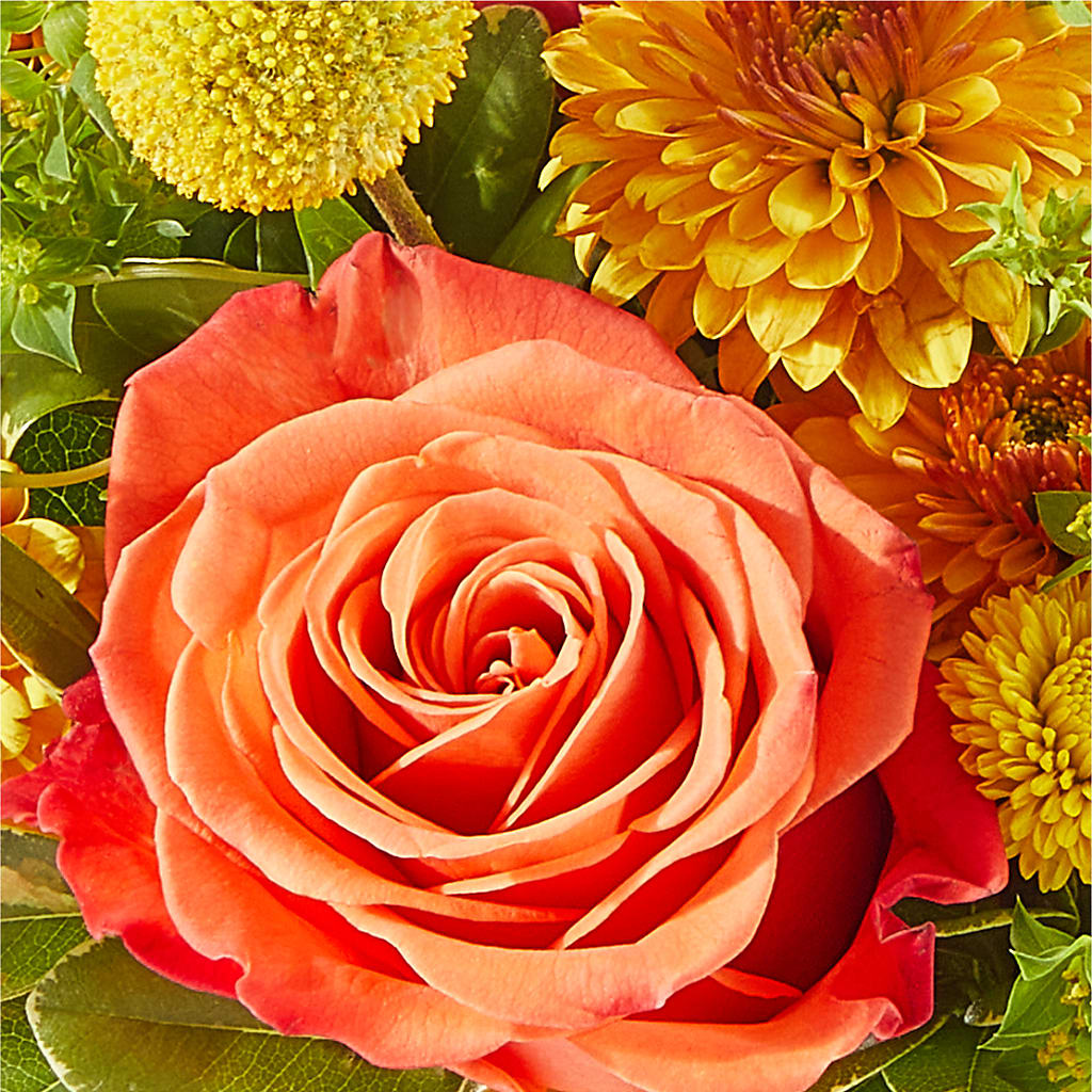 Gourdgeous Pumpkin –  City Line Florist, New Hyde Park NY