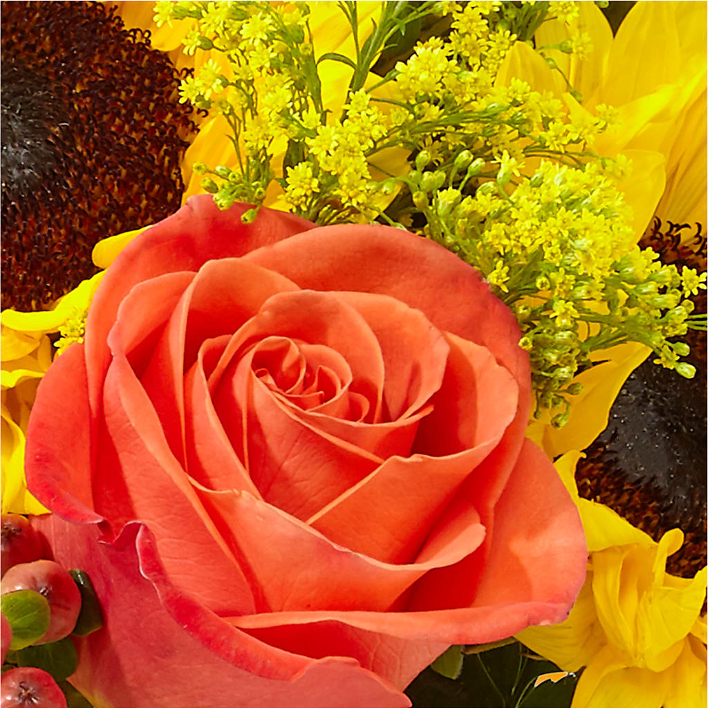 Pick of the Patch Pumpkin Bouquet –  City Line Florist, New Hyde Park NY