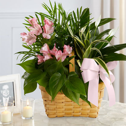 Living Spirit Dishgarden –  City Line Florist, New Hyde Park NY