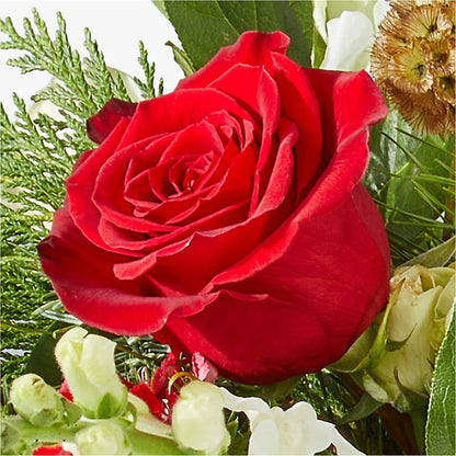 Deck the Halls Bouquet –  City Line Florist, New Hyde Park NY