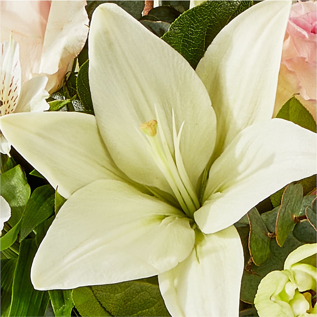Ballet Slippers Bouquet –  City Line Florist, New Hyde Park NY