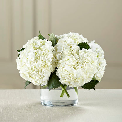 White Hydrangea Bouquet –  City Line Florist, New Hyde Park NY